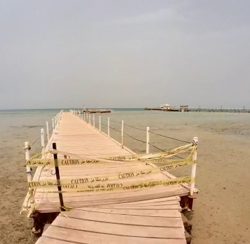 1b8c3c12c9c8123f053fa56aa2b7e06a.png Turiștii nu mai pot intra în mare la Hurghada, după ce un rus și-a pierdut viața atacat de un rechin- VIDEO