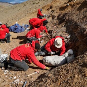 FOTO. Un dinozaur antic „cioc de rață” a fost descoperit în Chile după 72 de milioane de ani