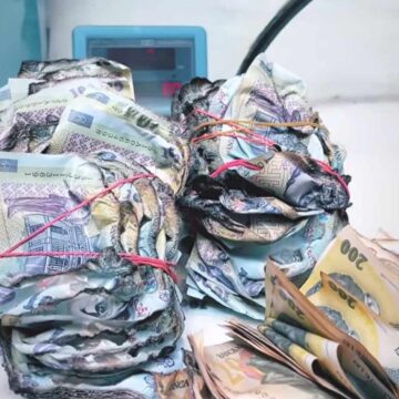 Un bărbat a dus trei teancuri de bani topiţi la Banca Naţională şi a primit bancnote noi