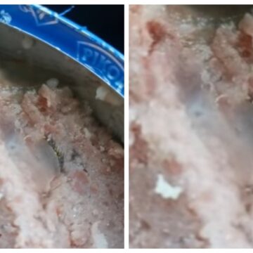 Ce a găsit un clujean într-o conservă de la Lidl: ”Erau gene și sprâncene în conservă” – VIDEO