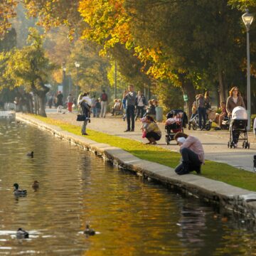 974e00124754f401ac083c20777f0360.jpg Fetiță pierdută în Parcul Central din Cluj-Napoca – FOTO în articol – SHARE