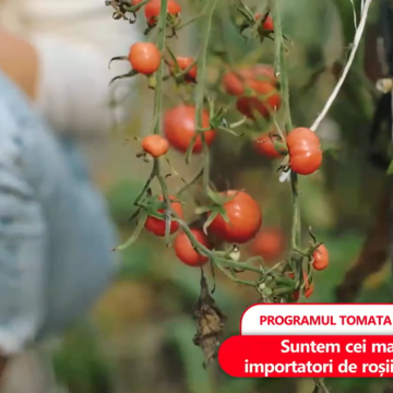 STIU-TOMATA.png România este cel mai mare importator de roșii din Turcia. 35% din veniturile lunare ale românilor se duc pe mâncare