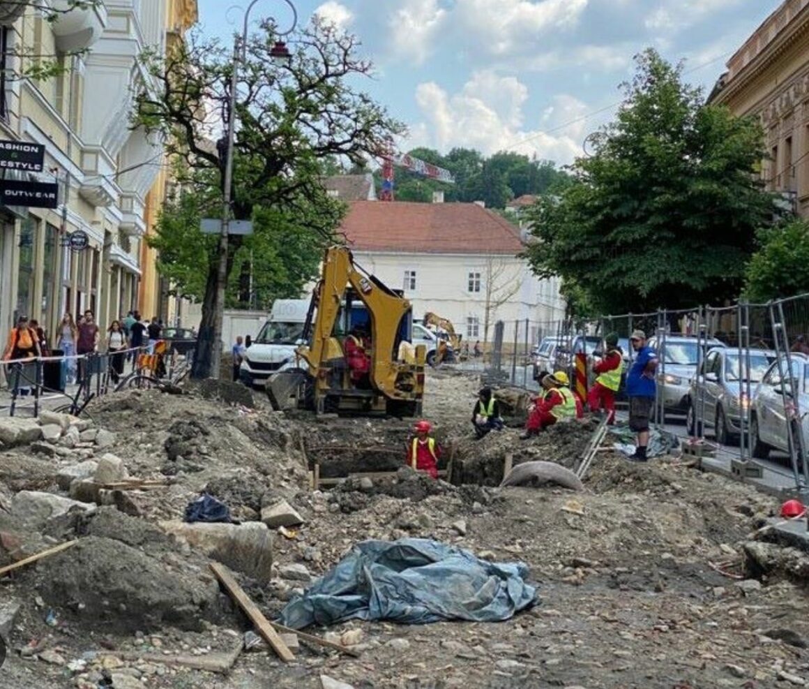 VICTORIE! Copacii de pe strada Universității nu vor fi scoși din rădăcini, în mod barbar – FOTO