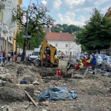 VICTORIE! Copacii de pe strada Universității nu vor fi scoși din rădăcini, în mod barbar – FOTO