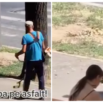 4471744988ad862527d852436dbaa17a.png Numai în România se poate! Tunde iarba pe asfalt – VIDEO