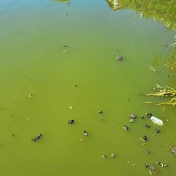 53bdd0158b15f1c40a58a099c50e55f7.jpeg Miros de cinci stele pe malul lacului Gheorgheni: ”Ți se face rău acuma de la plimbarea pe lângă lac” – FOTO