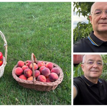 fdc0bb9a371eba0d78ef8aaab058329a.jpg Emil Boc a devenit agricultor de Apahida. Primarul și-a prezentat cu mândrie recolta – FOTO
