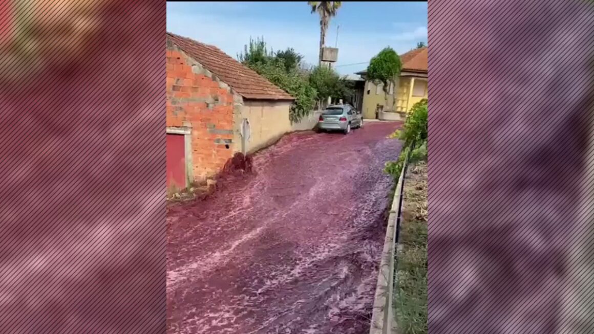 rau-vin-rosu-oras-Portugalia.jpg Oraș invadat de un râu de culoare roșie, după ce din două camioane s-au vărsat, din greșeală, milioane de litri de vin