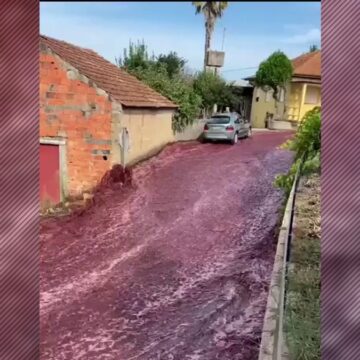rau-vin-rosu-oras-Portugalia.jpg Oraș invadat de un râu de culoare roșie, după ce din două camioane s-au vărsat, din greșeală, milioane de litri de vin