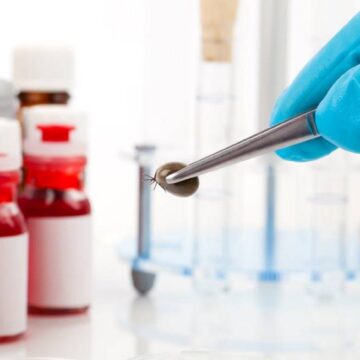 1719326483_index.jpeg Primul vaccin împotriva bolii Lyme din ultimii 20 de ani începe studiul clinic final: „Oamenii sunt îngrijorați, este momentul potrivit”