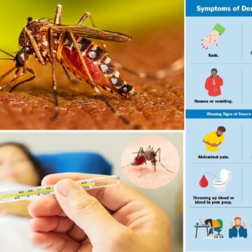 1722238082_index.jpeg Febra Dengue. Cum să îți salvezi viața și să previi infecția severă: semnele timpurii