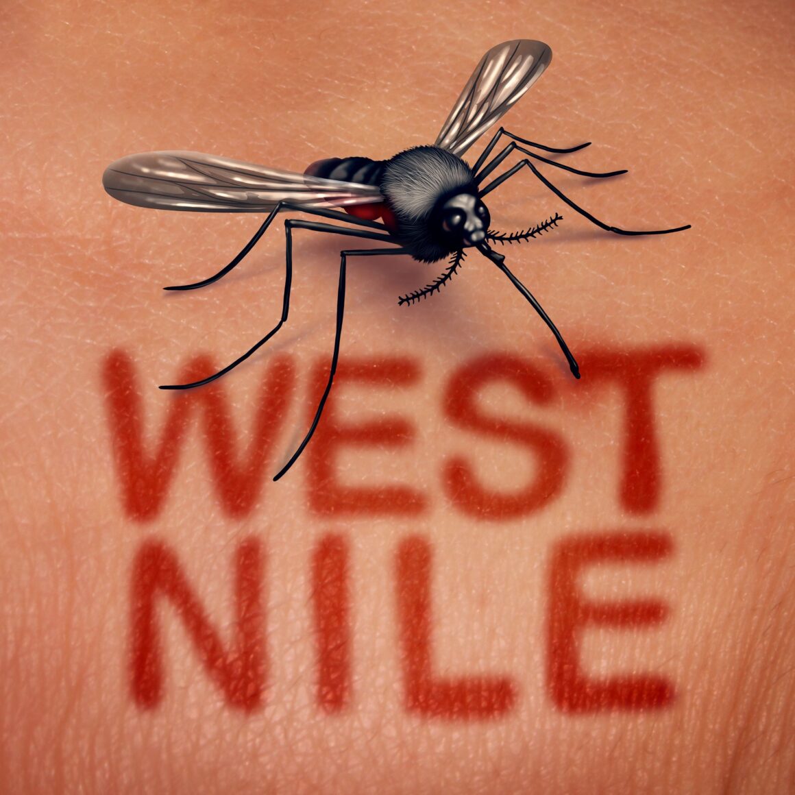 1722367867_index.jpeg De ce a apărut virusul West Nile în România. Explicațiile unui medic epidemiolog