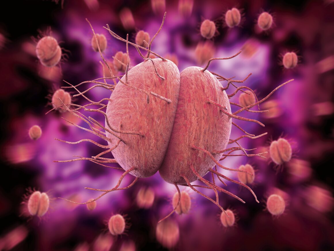 1723712387_index.jpeg Bacteria care transmite o boală sexuală ar putea deveni de netratat în viitor. „Va fi mai rezistentă la medicamente”