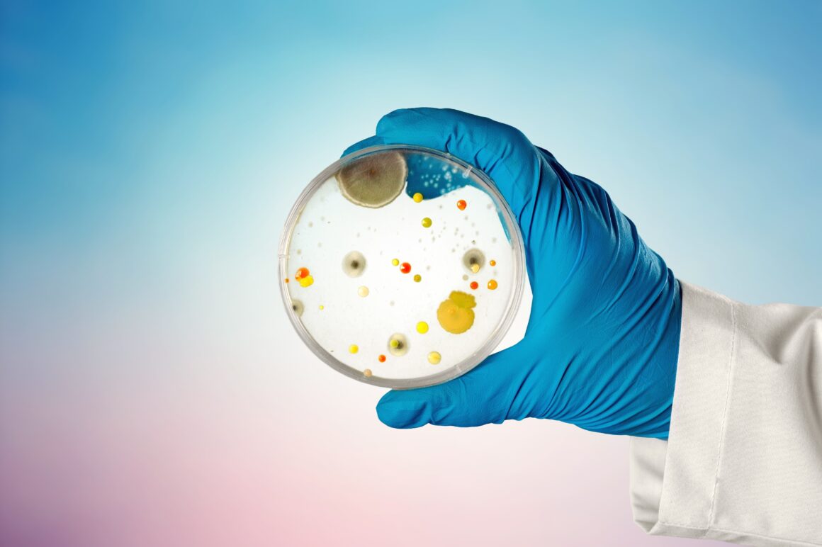 Cercetătorii avertizează: „O mare pandemie se pregătește să apară”. „Vom rămâne fără antibiotice”
