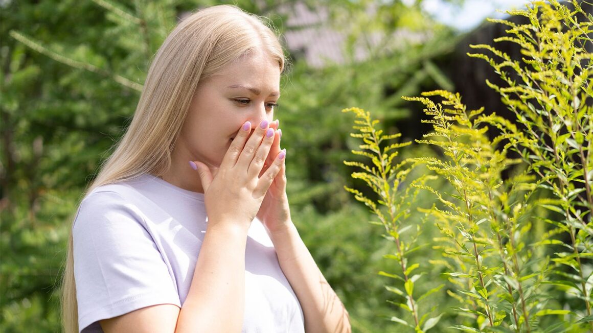 Ce nu știm despre alergia la ambrozie. „Fără pastiluța zilnică nu pot să rezist”