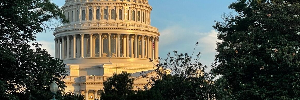 Capitoliu-Washington-FOTO-Twitter.jpg Învestire Donald Trump. Steagurile de la Capitoliu vor fi înălțate luni, 20 ianuarie/48 de km de garduri și 25.000 de polițiști scoși în stradă