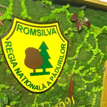 Romsilva.jpg Directorul Romsilva are salariul mai mare ca Iohannis