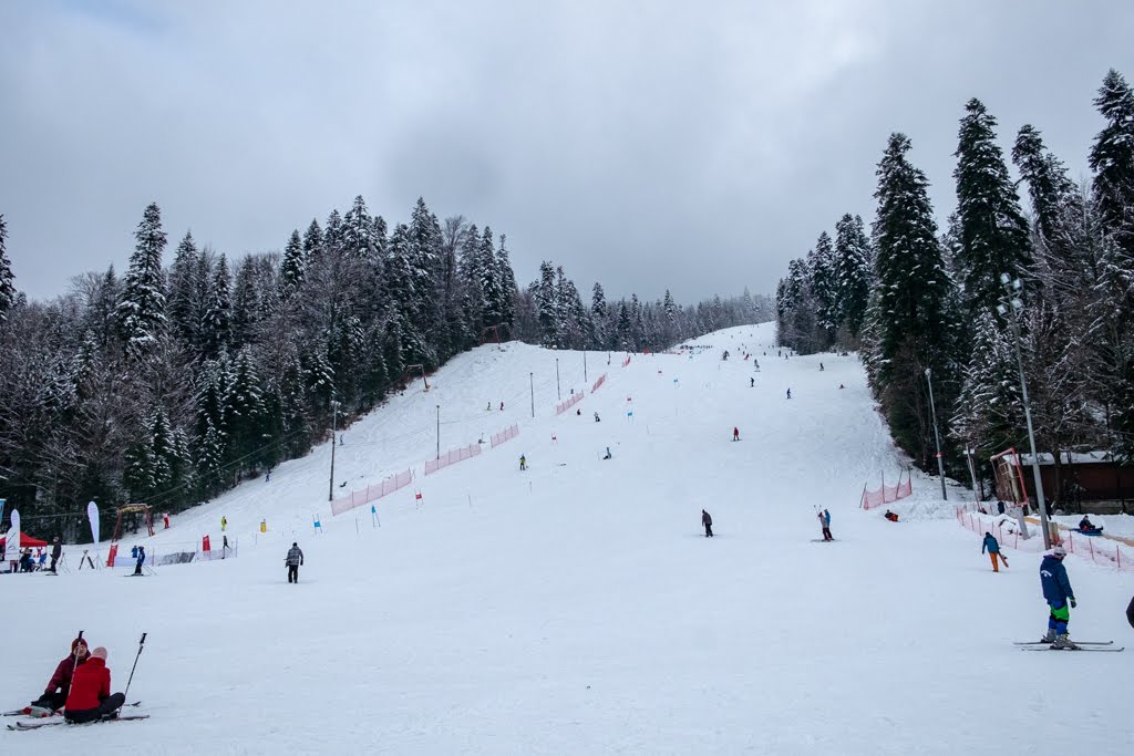 azuga.jpg În Brașov, stratul de zăpadă masoară până la 50 de centimetri
