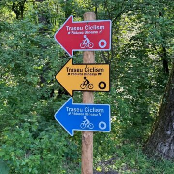 Trei trasee de biciclete au fost deschise în Pădurea Băneasa