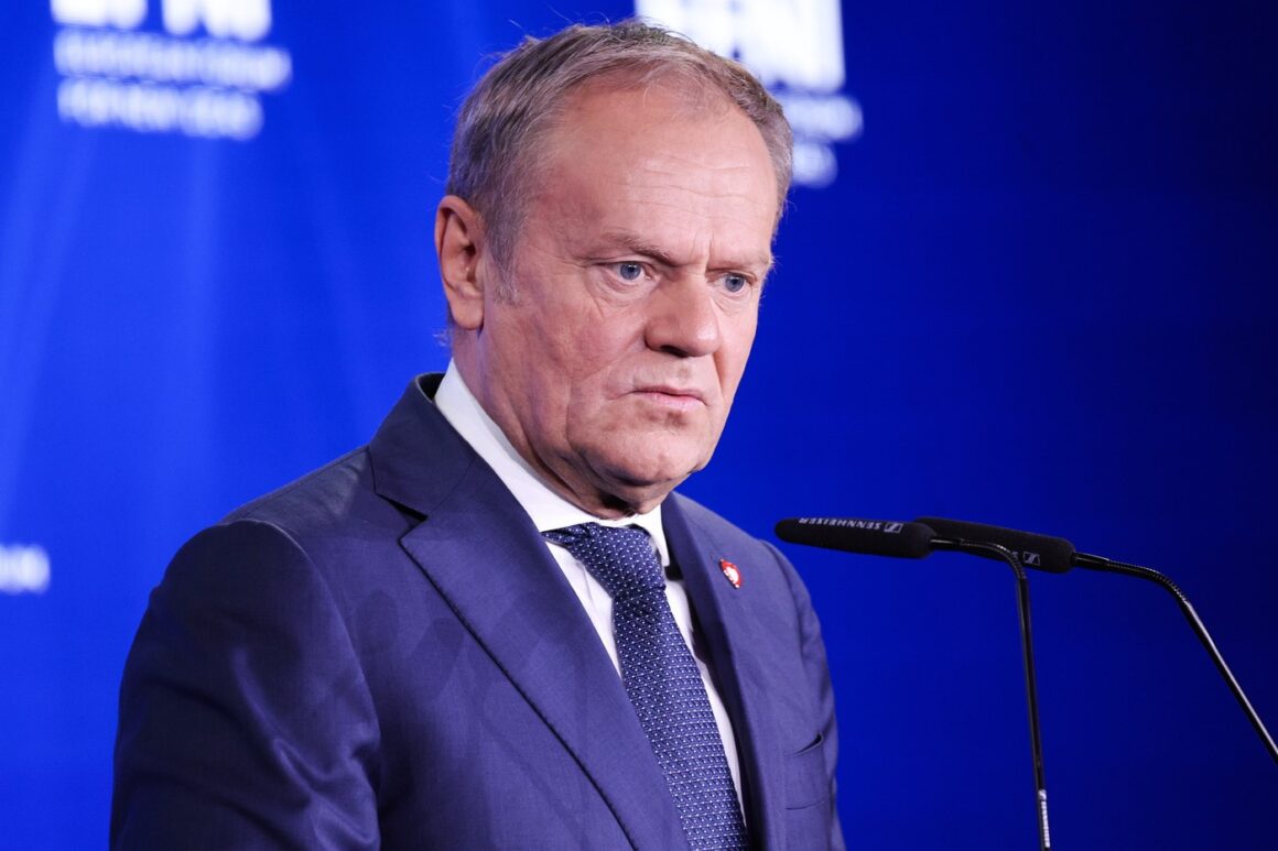 Donald Tusk insistă asupra furnizării energiei ieftine pentru securitatea statului/ „Polonia nu va fi un partener naiv”