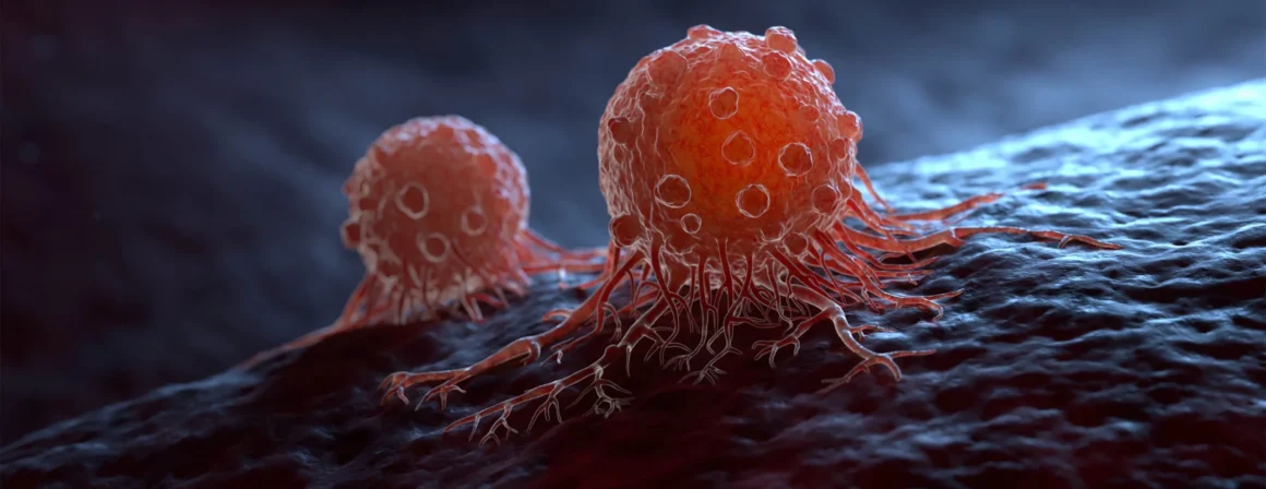 Un nou tratament cu anticorpi face cancerul să dispară complet