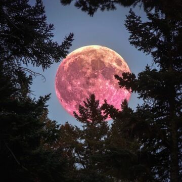 Luna.jpg Azi vezi Luna Căpșună, cea mai joasă Lună Plină din ultimii 18 ani