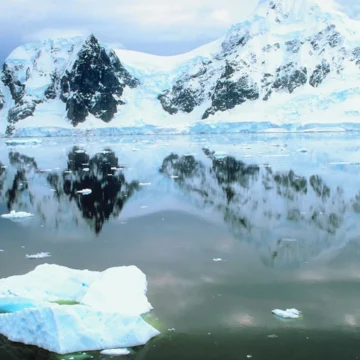 Paradise-Bay-Antarctica.webp.webp Ce semnale radio neobișnuite au fost detectate în Antarctica?