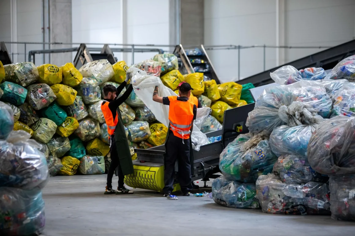Reciclat.webp.webp 2 tineri lansează prima aplicație care digitalizează reciclarea