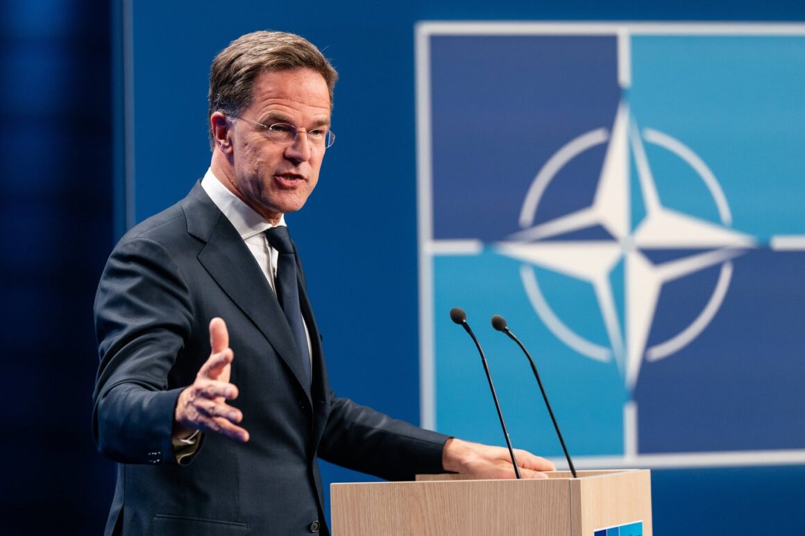 Aliații europeni nu ar trebui să-și facă griji cu privire la angajamentul SUA față de NATO