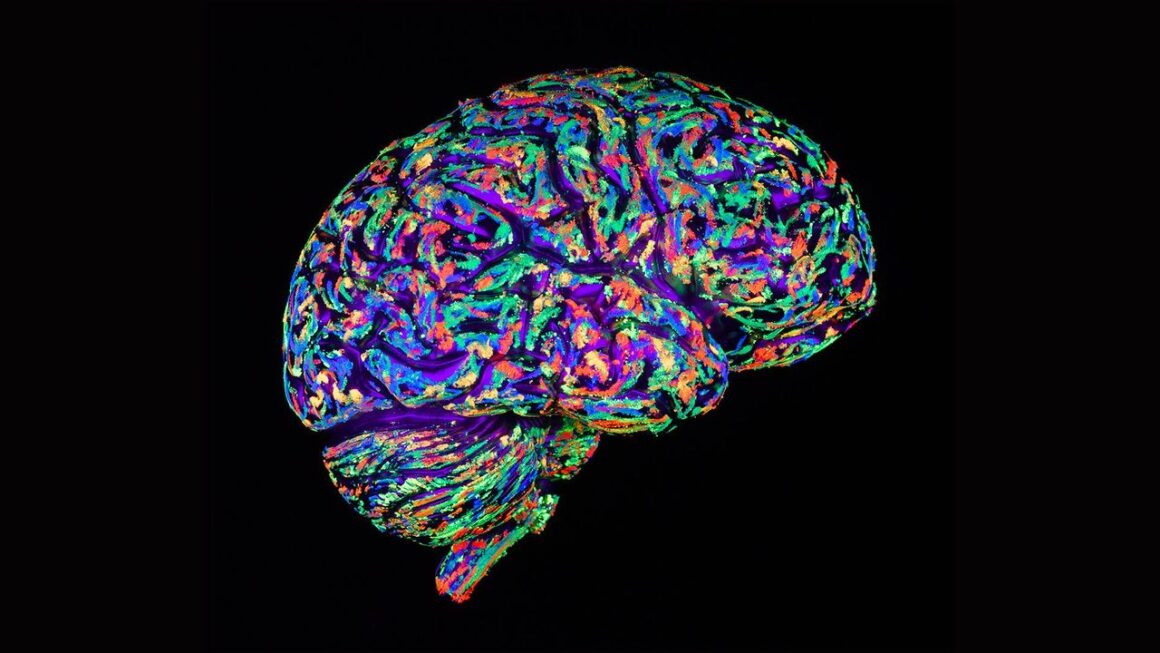 p038xghv.jpg Persoanele optimiste au modele similare de activitate cerebrală