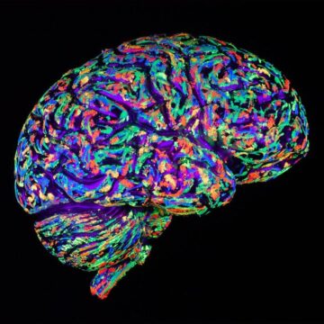 p038xghv.jpg Persoanele optimiste au modele similare de activitate cerebrală
