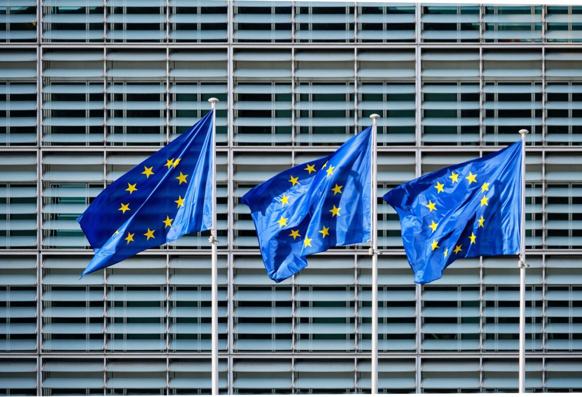 Numeroase țări UE, inclusiv România, solicită fonduri prin Programul SAFE /Volumul cererilor de creditare atinge 127 de miliarde de euro