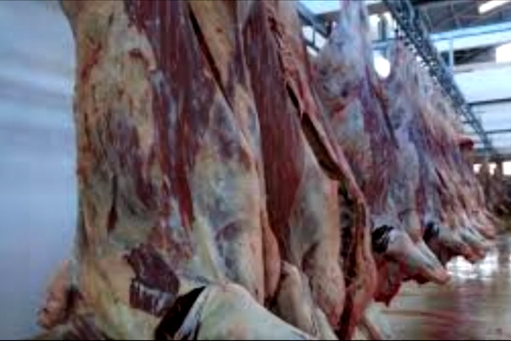 1-carne-vita-polonia.png Australia câștigă teren pe piața cărnii de vită din China după retragerea SUA. Tarifele impuse de administrația Trump lovesc producătorii americani