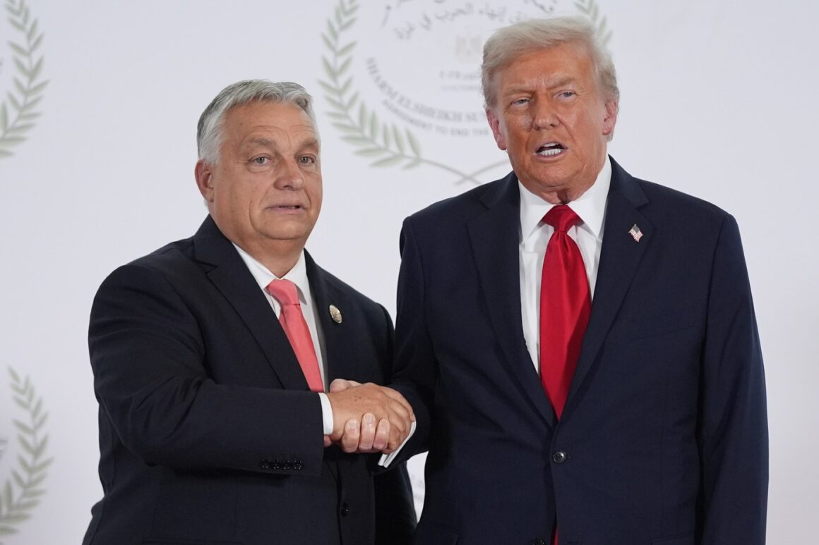 viktor-orban-donald-trump-ungaria-sua.jpg nu-l lasă să cumpere petrol din Rusia. “Nu l-am lăsat, deși a cerut, este prietenul meu”