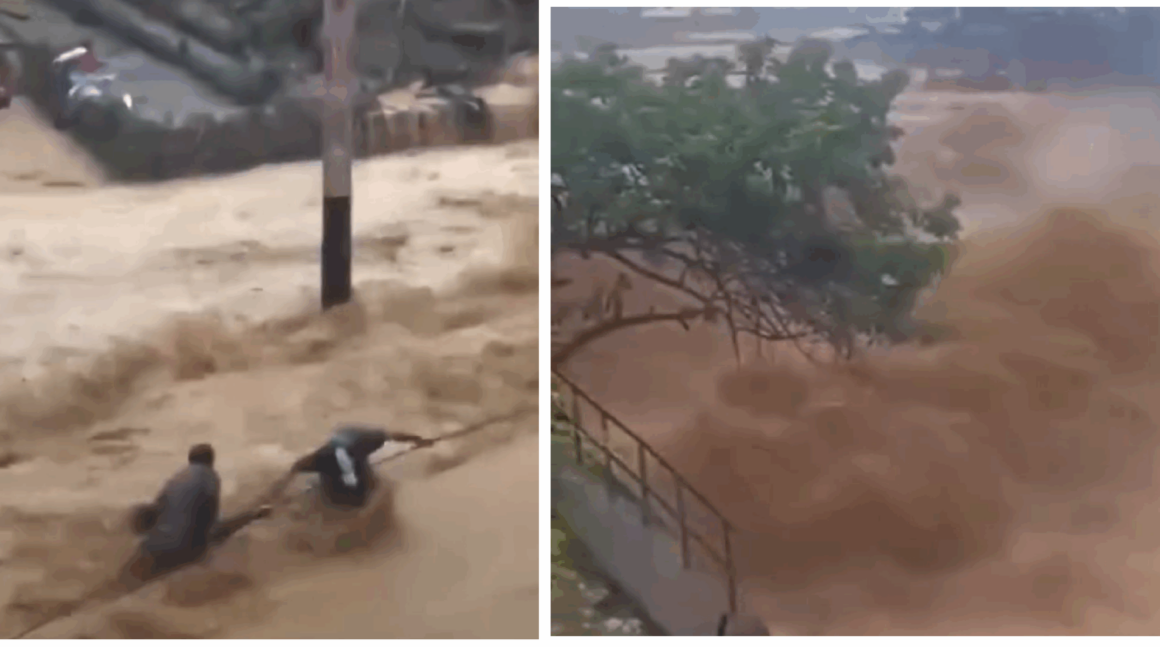 Nu am toiagul lui Moise