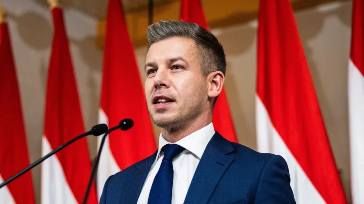 peterjpg-1200x675.webp.webp Péter Magyar, prima sa vizită oficială în Polonia
