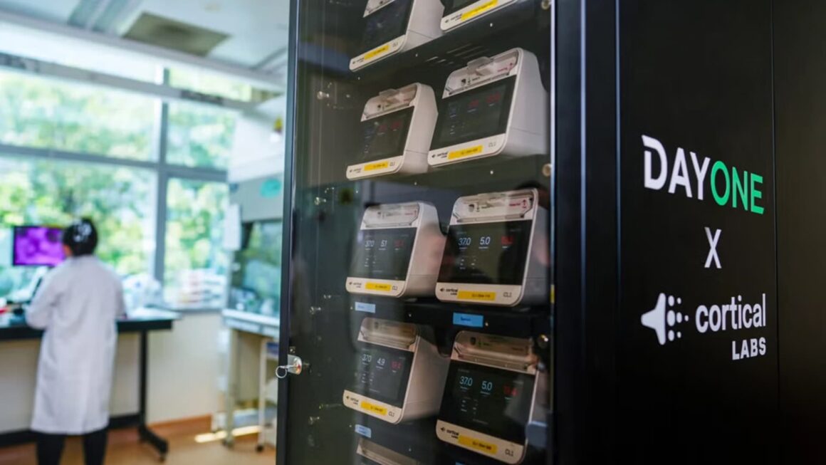 Z1_396492.jpeg Computerul care folosește neuroni umani vii funcționează deja în Singapore. CL1 combină celule biologice și cipuri pentru cercetări în A.I., medicină și robotică