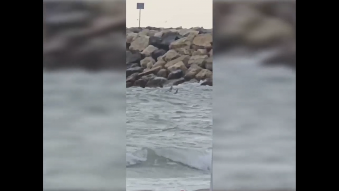 VIDEO. O dronă sau fragmente ale unei drone au fost observate în apropierea malului, pe o plajă din Costinești. Garda de Coastă verifică obiectul și proveniența acestuia