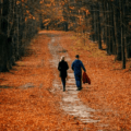 „Slow September” îi îndeamnă pe oameni să încetinească ritmul vieții