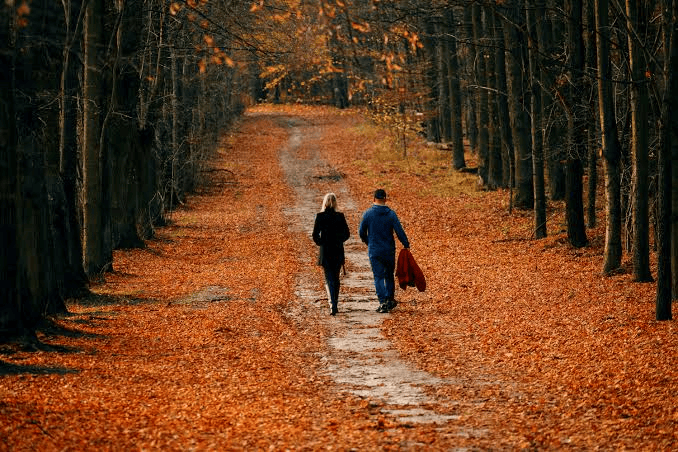 images-17-1.png „Slow September” îi îndeamnă pe oameni să încetinească ritmul vieții